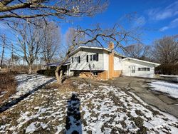 Foreclosure Listing in W LAUREL LN MONEE, IL 60449