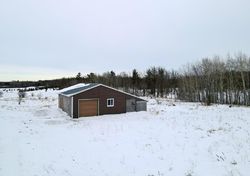 Foreclosure in  390TH ST Bagley, MN 56621