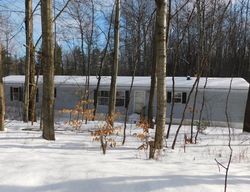 Foreclosure Listing in HIGH RIDGE RD LEROY, MI 49655