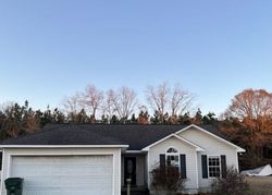 Foreclosure in  ANTIETUM RD Claxton, GA 30417
