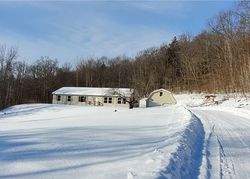 Foreclosure in  BOZA RD Kill Buck, NY 14748