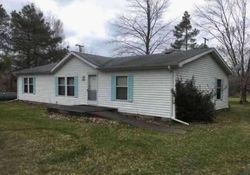 Foreclosure in  CASS RIVER RD Forestville, MI 48434