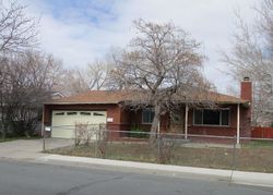 Foreclosure Listing in JERRY LN CARSON CITY, NV 89701