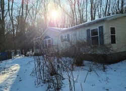 Foreclosure in  SANDY BOTTOM RD NE Greenville, MI 48838