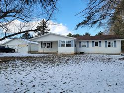 Foreclosure Listing in SAYLES RD IONIA, MI 48846