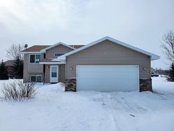 Foreclosure in  LOGANBERRY CIR Rice, MN 56367