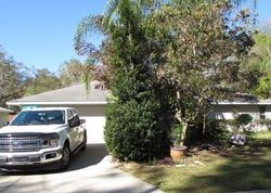 Foreclosure Listing in SE 171ST CT OCKLAWAHA, FL 32179