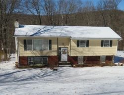 Foreclosure in  SHINDAGEN HILL RD Carmel, NY 10512