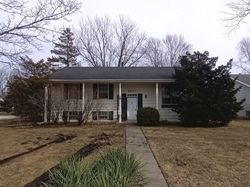 Foreclosure in  N BURNING BUSH LN Mount Prospect, IL 60056