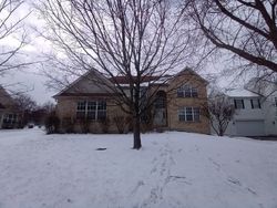 Foreclosure in  DANNEIL CIR Lake Zurich, IL 60047