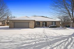 Foreclosure in  LOST BOY LN Homer Glen, IL 60491