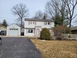 Foreclosure in  LEWIS AVE Wauconda, IL 60084