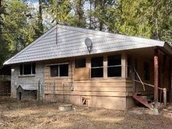 Foreclosure in  NORTHSHORE DIAMOND LAKE RD Newport, WA 99156