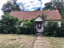 Foreclosure Listing in S MAPLE ST PAXTON, IL 60957