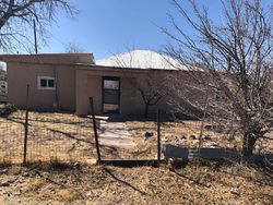 Foreclosure Listing in BARRERAS CIR SOCORRO, NM 87801