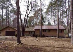 Foreclosure in  N M 33 HWY Cheboygan, MI 49721