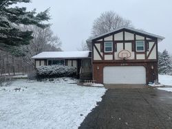 Foreclosure in  58TH ST Fennville, MI 49408