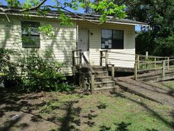 Foreclosure in  DIAS RD Newton, GA 39870