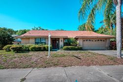 Foreclosure in  MCAULIFFE LN Palm Harbor, FL 34683