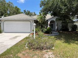 Foreclosure in  48TH ST E Palmetto, FL 34221