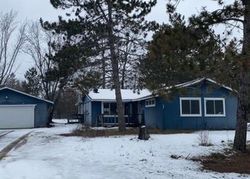 Foreclosure in  LAKE AVE NE Bemidji, MN 56601