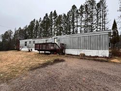 Foreclosure Listing in CTY O TOMAHAWK, WI 54487