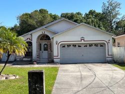 Foreclosure in  FOUNTAIN AVE Tampa, FL 33615