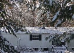 Foreclosure in  E 100TH ST Newaygo, MI 49337