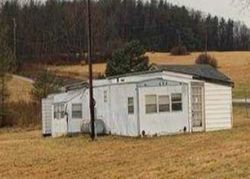 Foreclosure in  RED BRUSH RD Nichols, NY 13812