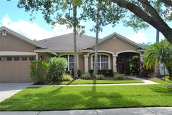 Foreclosure in  TAVISTOCK DR Tampa, FL 33626