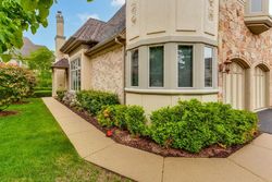 Foreclosure in  S PAUL LE COMTE CT Palatine, IL 60067