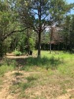 Foreclosure in  COUNTY ROAD 1000 Wortham, TX 76693