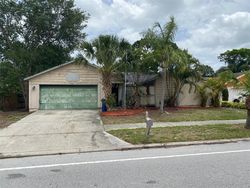 Foreclosure Listing in MAUNA LOA BLVD SARASOTA, FL 34241