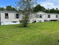 Foreclosure in  SETTLERS LOOP Geneva, FL 32732