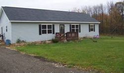 Foreclosure in  SAINT CLAIR RD Laingsburg, MI 48848