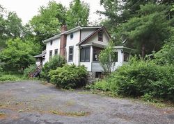 Foreclosure in  S LAKE DR Patterson, NY 12563