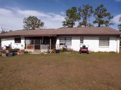 Foreclosure in  SADDLE LN Wesley Chapel, FL 33543