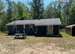 Foreclosure Listing in E 40TH ST CHASE, MI 49623
