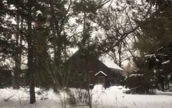 Foreclosure Listing in ADMIRAL RD IRON, MN 55751
