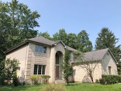 Foreclosure Listing in S PINEWOOD LN MONEE, IL 60449