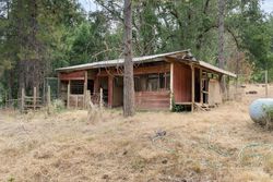 Foreclosure in  OLD SAWMILL RD Garden Valley, CA 95633