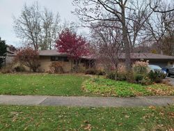 Foreclosure in  BUTTERNUT CT Roselle, IL 60172