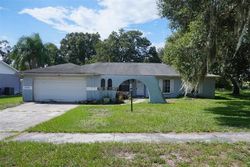 Foreclosure in  SUMMIT VIEW DR Valrico, FL 33596