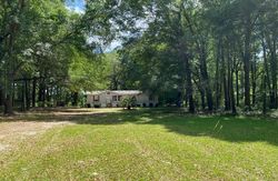 Foreclosure Listing in NE MARION RD MAYO, FL 32066