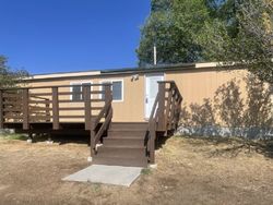 Foreclosure in  WESTBY DR Spring Creek, NV 89815