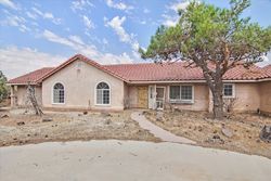 Foreclosure in  CARSON MESA RD Palmdale, CA 93550