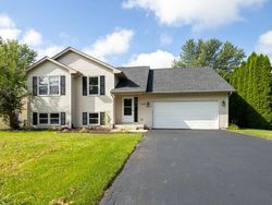 Foreclosure in  SEMINOLE PL NW Poplar Grove, IL 61065