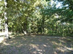 Foreclosure in  WOODMIST RD Galena, MO 65656