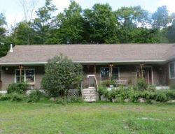 Foreclosure Listing in LAUREL PARK RD PINE BUSH, NY 12566