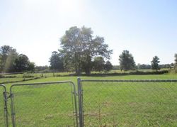 Foreclosure in  COUNTY ROAD 314 S Laneville, TX 75667